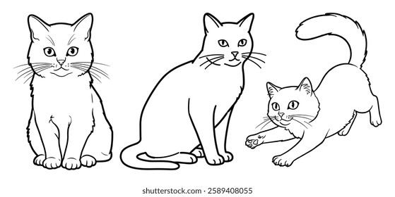 A cat Vector and silhouette illustration with white background