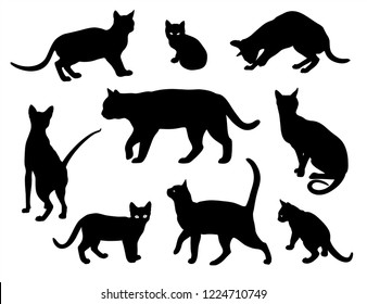 Cat vector silhouette set Isolated On White Background, cats in different poses