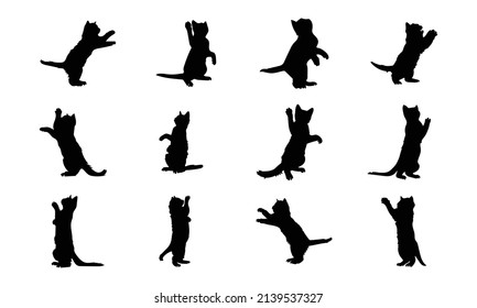 Cat vector silhouette. Side view isolated on a white background.