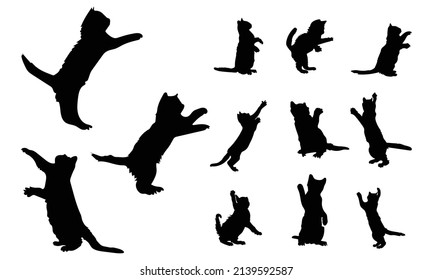 
Cat vector silhouette. Side view isolated on a white background.