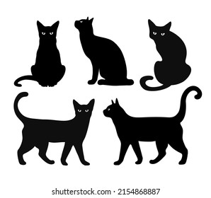 Se han establecido siluetas vectoriales de gato. Aislados en fondo blanco, gatos en diferentes poses. aislado en un fondo blanco. Tatuaje también.