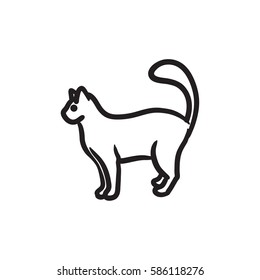 Icono de esbozo del vector de gato aislado en el fondo. Icono de gato dibujado a mano. Icono de esbozo de gato para infografía, sitio web o aplicación.