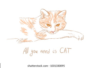 cat vector sketch illustration