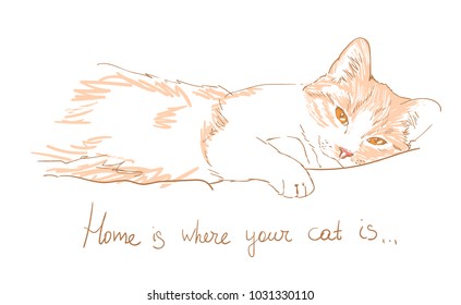 cat vector sketch illustration