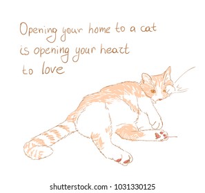 cat vector sketch illustration