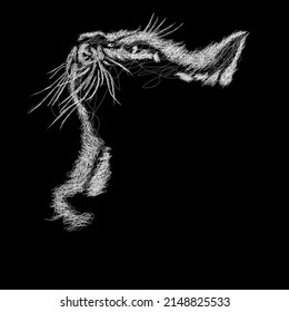 Cat vector sketch illustration, scribble art