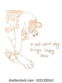 cat vector sketch illustration sleep phrase