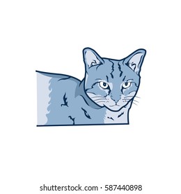 Cat Vector T-shirt Design