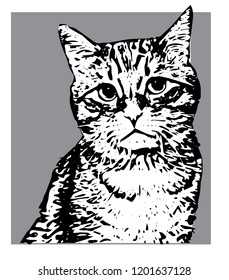 cat vector two tones