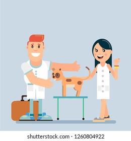 Cat in a veterinary clinic