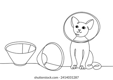 Cat in a veterinary collar. Accessory to protect the animal from infection.Temporary restriction of the animal's movements. Images produced without the use of any form of AI software at any stage.