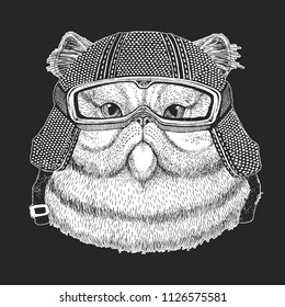 Cat. Vintage motorcycle hemlet. Retro style illustration with animal biker for children, kids clothing, t-shirts. Fashion print with cool character. Speed and freedom.
