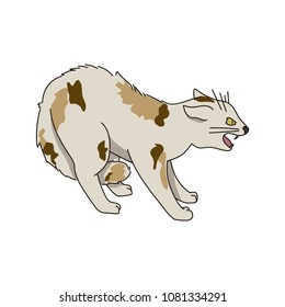 Cat in violent attitude. Vector illustration