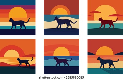 a cat walking along the shore as the sun sets behi 