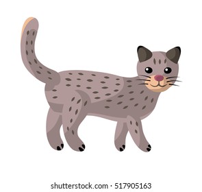 Cat walking isolated.