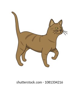 Cat walking upright. Vector illustration