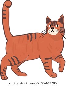 The cat walks back and looks