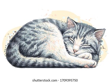Cat. Wall sticker. Color, artistic, realistic portrait of a cute sleeping cat in watercolor style on a white background.