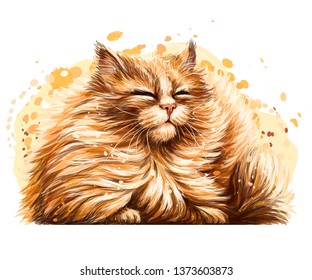 

Cat. Wall sticker. The color, graphic, artistic drawing of a cute fluffy cat is squinting pretty in the sun on a white background with a spray of watercolor.