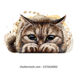 

Cat. Wall sticker. Graphic, color, artistic drawing of a cute cat preparing to jump in watercolor style.