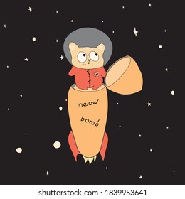 Cat warhead. Against the background of the starry sky. Flies.