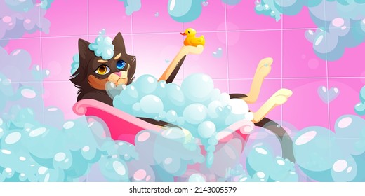 Cat wash in bathtub in pet grooming salon. Vector cartoon illustration of kitten with heterochromia taking bath with soap foam and duck. Spa for domestic animals