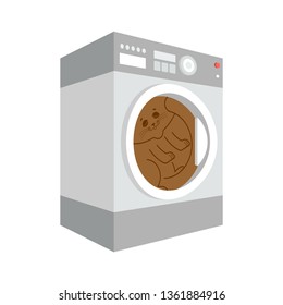 Cat in Washer isolated. pet inside washing machine Cartoon Style. Vector