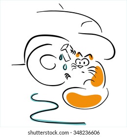 Cat washes a car