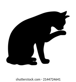 Cat washes silhouette vector illustration. Black shadow of pet. Cat sitting isolated icon
