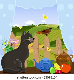 cat watching a bird