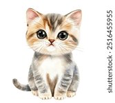 cat watercolor clipart illustration isolated