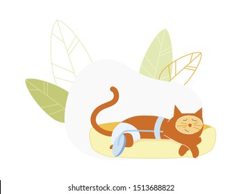 Cat Wearing Diaper Sleeping with Wheel Instead of Amputated Hind Leg, Disable Animal Medical Assistance, Pets with Disabilities Surgery, Veterinary Clinic Prosthetics. Cartoon Flat Vector Illustration