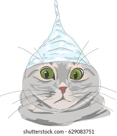cat wearing funny hat