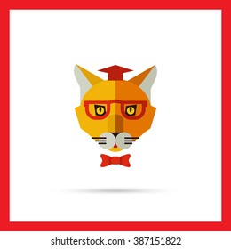 Cat wearing hat, glasses