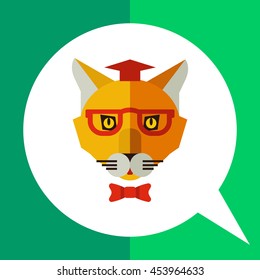 Cat wearing hat, glasses