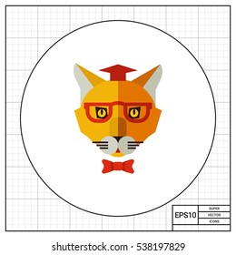 Cat wearing hat, glasses