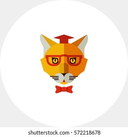 Cat wearing hat, glasses