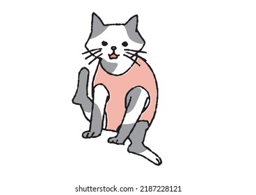  A Cat Wearing Maternity Wear To Prevent Licking The Scar On Her Stomach. A Comical Hand-drawn Animal. Vector, Warm Line Drawing.