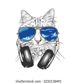 Cat wearing sunglasses and headphones. Hand drawn vector illustration