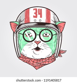 the cat wears a racer's helmet with goggles and a bandana