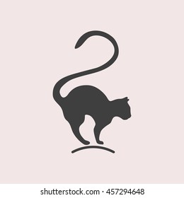Cat web icon. Isolated illustration
