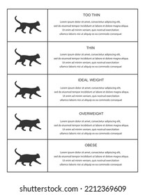 Cat weight chart in infographic table. Kitties silhouettes with normal and abnormal body condition. Thin, ideal, overweight and obese feline domestic pets. Vector graphic illustration