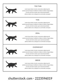 Cat weight chart infographic table. Kitties profiles with normal and abnormal body condition. Thin, ideal, overweight and obese feline domestic pets. Vector flat illustration