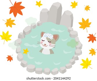 A cat which takes outdoor bath in autumn.