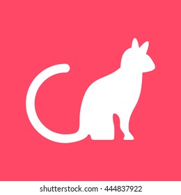 Cat white icon on magenta color background. Eps-10.