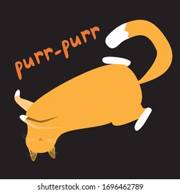 Un gato con patas blancas y borlas en los oídos como personaje yace en su espalda y ruge. Ilustración plana vectorial de serie con mascota y letras con purr de texto como tarjeta en un fondo negro