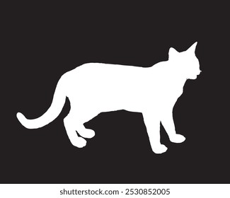 Cat white silhouette vector illustration on black background