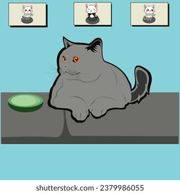 
a cat who is relaxing when he finishes his lunch