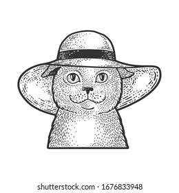 cat in a wide brimmed hat sketch engraving vector illustration. T-shirt apparel print design. Scratch board imitation. Black and white hand drawn image.