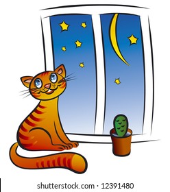 Cat at the window